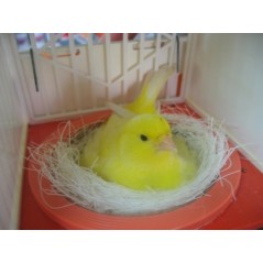 Nichoir en plastique sans nid 12x12X16cm à 4,30 € - Fauna BirdProducts - 14531 - Nids