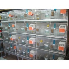 Nichoir en plastique sans nid 12x12X16cm à 4,30 € - Fauna BirdProducts - 14531 - Nids