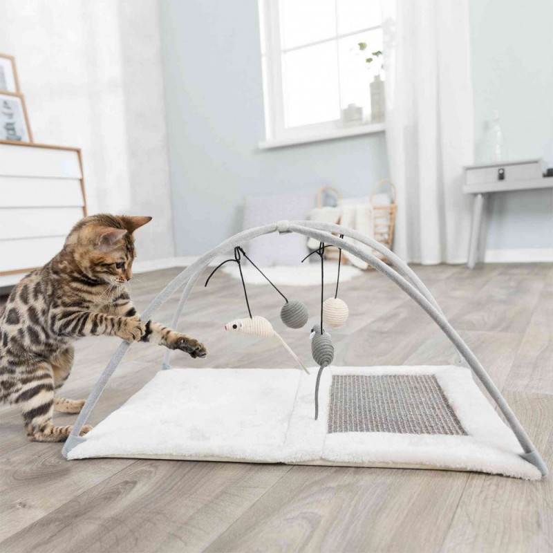 Junior tapis + arc de jeu en sisal - Trixie 43114 Trixie 19,99 € Ornibird Junior tapis + arc de jeu en sisal - Trixie 43114 Trixie 19,99 € Ornibird