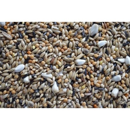 Forpus Neophema Braet 20kg à 30,20 € - Grizo - 190082200 - Graines