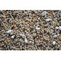 Forpus Neophema Braet 20kg
