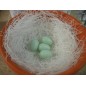 100 Oeufs factices en plastique pour canaris 100 Oeufs factices en plastique pour canaris