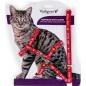 Harnais+Laisse Kitty Cat Rouge 15-22/30-32cm+120cm - Vadigran
