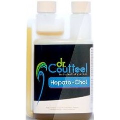 Hepato-Chol 250ml - Protecteur hépatique - Dr.Coutteel à 22,95 € - Dr. Coutteel - DRC-0004 - Dr. Coutteel
