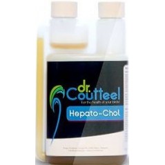 Hepato-Chol 250ml Protector - liver - Dr. Coutteel DRC-0004 Dr. Coutteel 22,20 € Ornibird