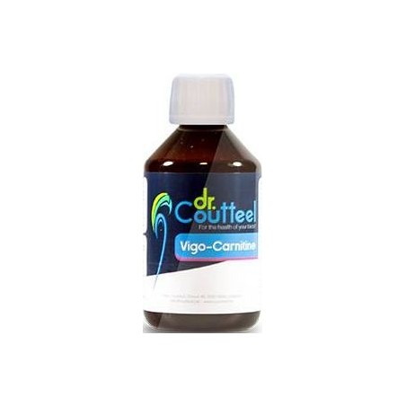 Vigo-Carnitine 250ml - Améliore la condition générale - Dr.Coutteel à 20,25 € - Dr. Coutteel - DRC-0012 - Dr. Coutteel