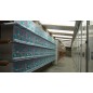 Batterie de 12 cages 64x30x34 Modèle Champion- New Canariz