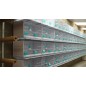 Batterie de 12 cages 64x30x34 Modèle Champion- New Canariz