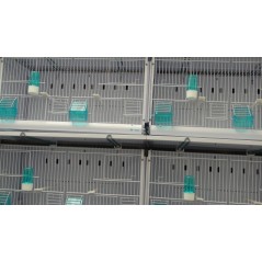 Batterie de 12 cages 64x30x34 Modèle Champion- New Canariz - 1 260,00 € - New Canariz - 1516739131636 - Ornibird SRL