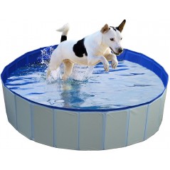 Piscine pour chien 120x30cm - Duvo+ - 54,95 € - Duvo + - 5414365331542 - Ornibird SRL
