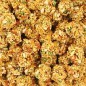 Nutri-Berries Garden Veggie Perroquet 1,36kg - Lafeber's Nutri-Berries Garden Veggie Perroquet 1,36kg - Lafeber's