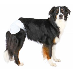 Couches pour chiens femelles M 32-48cm - Trixie à 10,00 € - Trixie - 23633 - Culottes