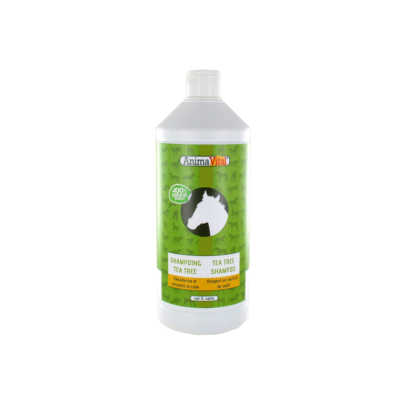 Shampoing Chevaux Tea Tree 1L