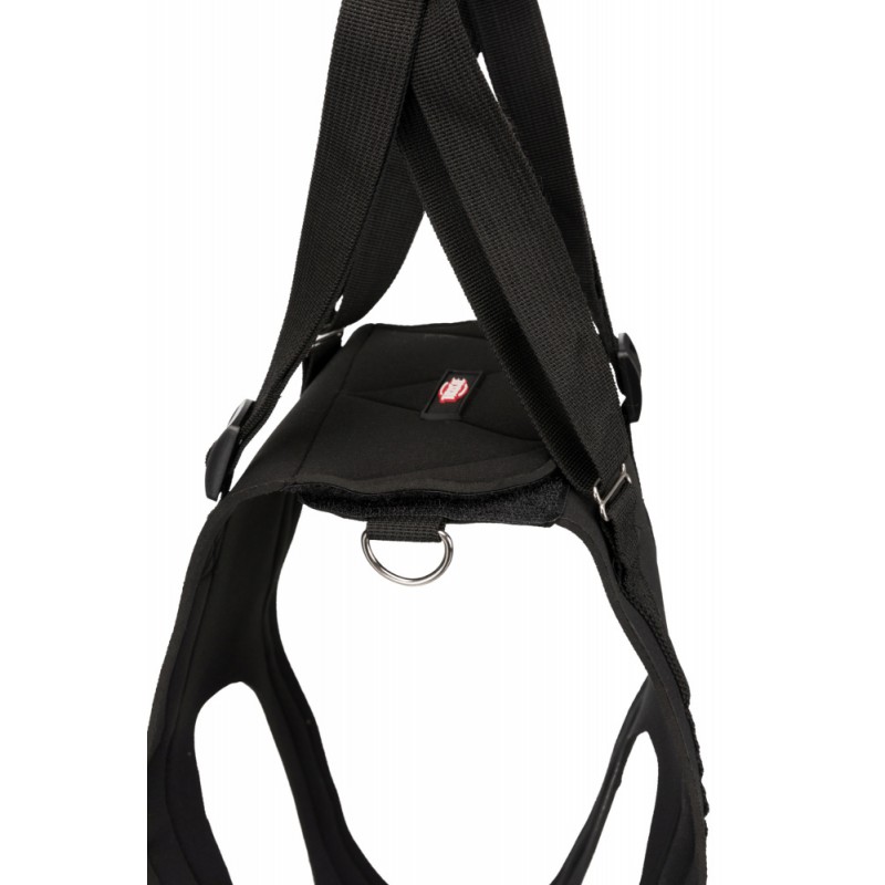 Aide à la marche L (jusqu'à 35kg) 65-75cm - Trixie 19407 Trixie 13,00 € Ornibird Aide à la marche L (jusqu'à 35kg) 65-75cm - Trixie 19407 Trixie 13,00 € Ornibird
