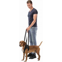 Aide à la marche L (jusqu'à 35kg) 65-75cm - Trixie 19407 Trixie 13,00 € Ornibird