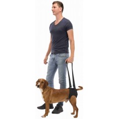 Aide à la marche L-XL (jusqu'à 50kg) 75-85cm - Trixie - 13,00 € - Trixie - 4053032407473 - Ornibird SRL