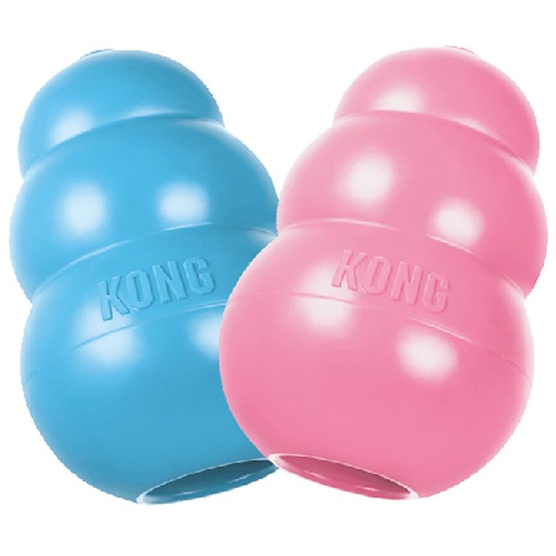 Kong Puppy Bleu ou Rose M - Kong Kong Puppy Bleu ou Rose M - Kong