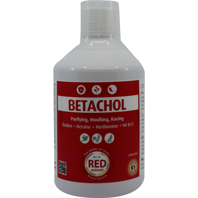 Betachol (couleur rouge avec B-vitamines, foie, plumage) 500ml - Red Pigeon pour pigeons et oiseaux 31101 Red Animals 14,90 €...