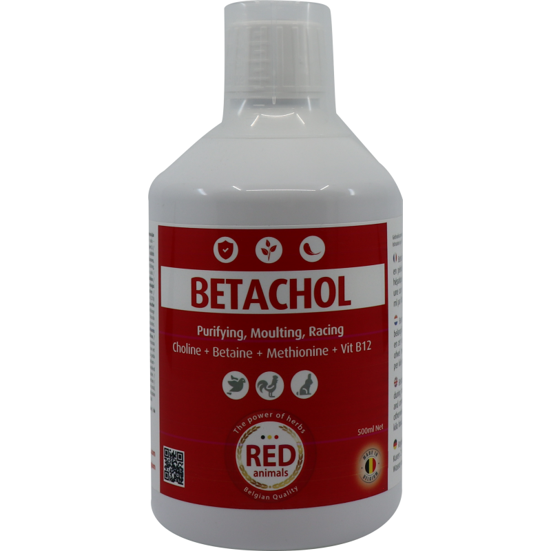 Betachol (couleur rouge avec B-vitamines, foie, plumage) 500ml - Red Pigeon pour pigeons et oiseaux 31101 Red Animals 14,90 €... Betachol (couleur rouge avec B-vitamines, foie, plumage) 500ml - Red Pigeon pour pigeons et oiseaux 31101 Red Animals 14,90 €...