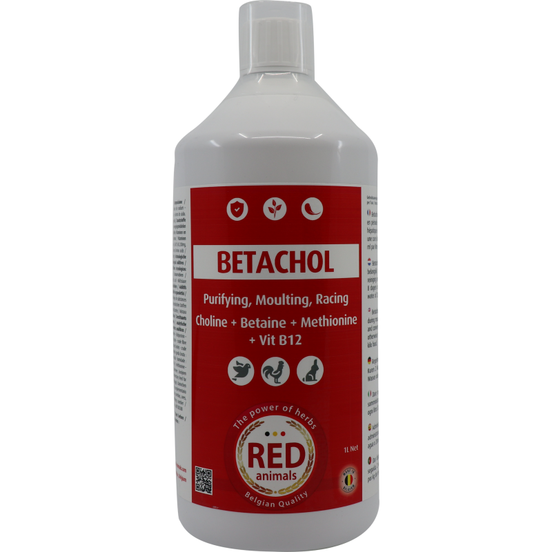 Betachol (couleur rouge avec B-vitamines, foie, plumage) 1L - Red Pigeon pour pigeons et oiseaux RP002 Red Animals 24,90 € Or...