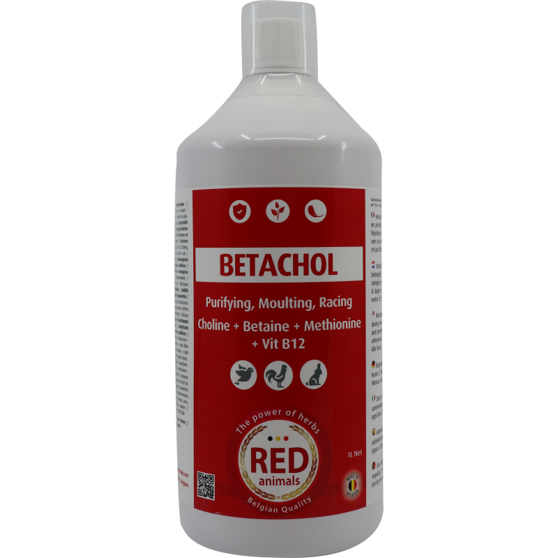 Betachol (couleur rouge avec B-vitamines, foie, plumage) 1L - Red Pigeon pour pigeons et oiseaux RP002 Red Animals 24,90 € Or... Betachol (couleur rouge avec B-vitamines, foie, plumage) 1L - Red Pigeon pour pigeons et oiseaux RP002 Red Animals 24,90 € Or...