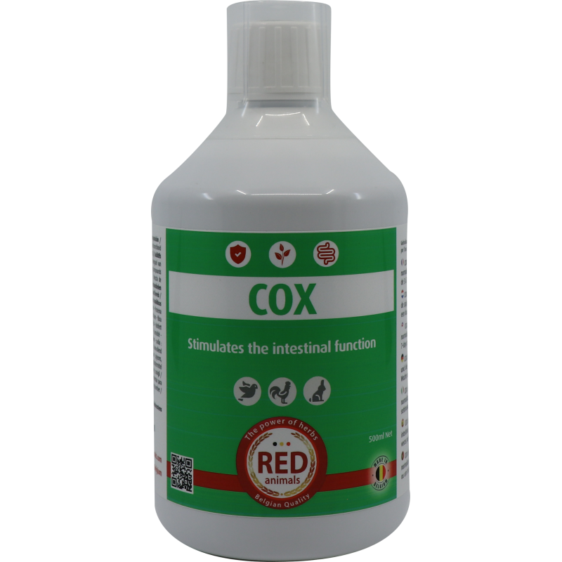 Cox (intestinal health) 500ml - Red Pigeon for pigeons and birds RP004 Red Animals 19,90 € Ornibird