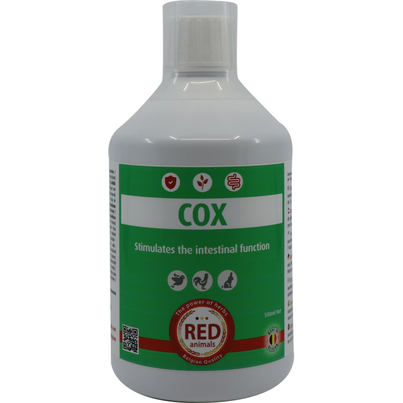 Cox (santé intestinale) 500ml - Red Animals RP004 Red Animals 19,90 € Ornibird Cox (santé intestinale) 500ml - Red Animals RP004 Red Animals 19,90 € Ornibird