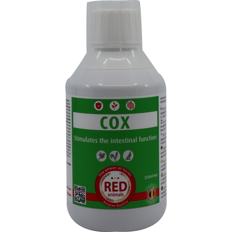 Cox (santé intestinale) 250ml - Red Bird pour oiseaux RB002 Red Animals 14,78 € Ornibird Cox (santé intestinale) 250ml - Red Bird pour oiseaux RB002 Red Animals 14,78 € Ornibird