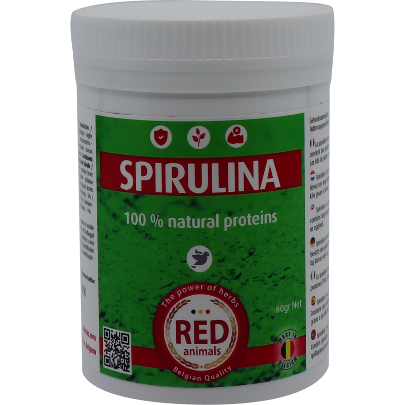 Spirulina (a source of proteins, algae) 80gr - Red Bird to birds à ...