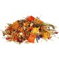 Mélange d'aliments naturels pour dragons barbus 100gr - Trixie Mélange d'aliments naturels pour dragons barbus 100gr - Trixie