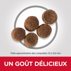 Science Plan aliment pour Chiot Medium au Poulet 12kg - Hill's - 76,25 € - Hill's - 052742926308 - Ornibird SRL