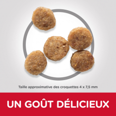 Science Plan aliment pour Chien Sénior 11+ Small & Mini au poulet 1,5kg - Hill's - 19,49 € - Hill's - 52742283005 - Ornibird SRL