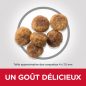 Science Plan aliment pour Chien Adulte Small & Mini à l'agneau et au Riz 6kg - Hill's Science Plan aliment pour Chien Adulte Small & Mini à l'agneau et au Riz 6kg - Hill's