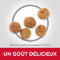 Science Plan aliment pour Chien Adulte Small & Mini Perfect Weight au Poulet 1,5kg - Hill's Science Plan aliment pour Chien Adulte Small & Mini Perfect Weight au Poulet 1,5kg - Hill's
