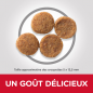 Science Plan aliment pour Chien Adulte Medium au Poulet 2,5kg - Hill's Science Plan aliment pour Chien Adulte Medium au Poulet 2,5kg - Hill's