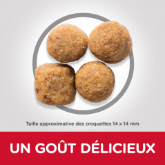 Science Plan aliment pour Chien Adulte de Grande Race au Poulet 12kg - Hill's - 73,25 € - Hill's - 52742927008 - Ornibird SRL
