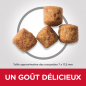 Science Plan aliment pour Chien Adulte de Grande Race Perfect Weight au Poulet 12kg - Hill's Science Plan aliment pour Chien Adulte de Grande Race Perfect Weight au Poulet 12kg - Hill's