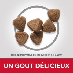 Science Plan aliment pour Chaton Poulet 3kg - Hill's - 42,25 € - Hill's - 052742024363 - Ornibird SRL