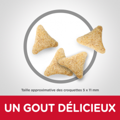 Science Plan aliment pour Chat Adulte Hairball Indoor Poulet 1,5kg - Hill's - 28,75 € - Hill's - 052742752402 - Ornibird SRL