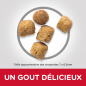 Science Plan aliment pour Chat Adulte Urinary Health Poulet 1,5kg - Hill's Science Plan aliment pour Chat Adulte Urinary Health Poulet 1,5kg - Hill's