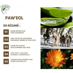 Paw'eol Crème pour les coussinets 100ml - Essence of Life (chien, chat, rongeur) PAW125 Essence Of Life 15,90 € Ornibird