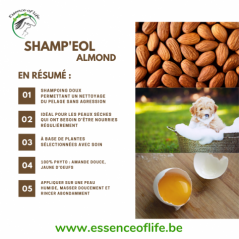 Shamp'eol Almond Shampoing nourrisant à l'amande 250ml - Essence of Life (chien, chat) SHAMPALMOND Essence Of Life 13,90 € Or...