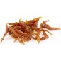 Twisters de poulet 80gr +/-12st - Duvo+ Twisters de poulet 80gr +/-12st - Duvo+
