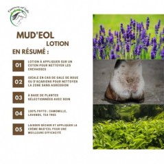 Mud'eol Lotion Lotion pour les paturons - crevasses 3L - Essence of Life CHEV-1241 Essence Of Life 177,00 € Ornibird
