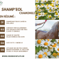Shamp'eol Chamomile Peaux claires & brillance 500ml - Essence of Life Shamp'eol Chamomile Peaux claires & brillance 500ml - Essence of Life