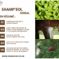 Shamp'eol Herbal Purifiant & Rafraîchissant 500ml - Essence of Life