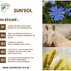 Sun'eol Crème solaire 250ml - Essence of Life CHEV-1255 Essence Of Life 30,50 € Ornibird