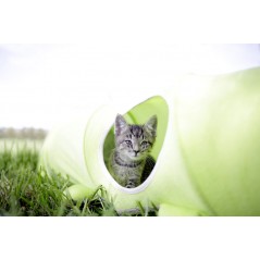 Tunnel pour chat Raupe 170cm 81631 Kerbl 27,50 € Ornibird