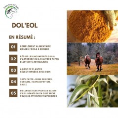 Dol'eol Soutien des articulations et des fonctions locomotrices 500ml - Essence of Life CHEV-1258 Essence Of Life 35,50 € Orn...