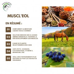 Muscl'eol Soutient la fonction musculaire 500ml - Essence of Life CHEV-1266 Essence Of Life 39,90 € Ornibird